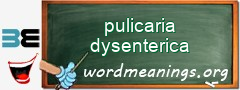 WordMeaning blackboard for pulicaria dysenterica